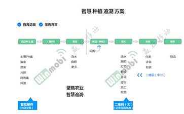 茶叶91香蕉视频黄片下载溯源系统具有哪些优势价值？